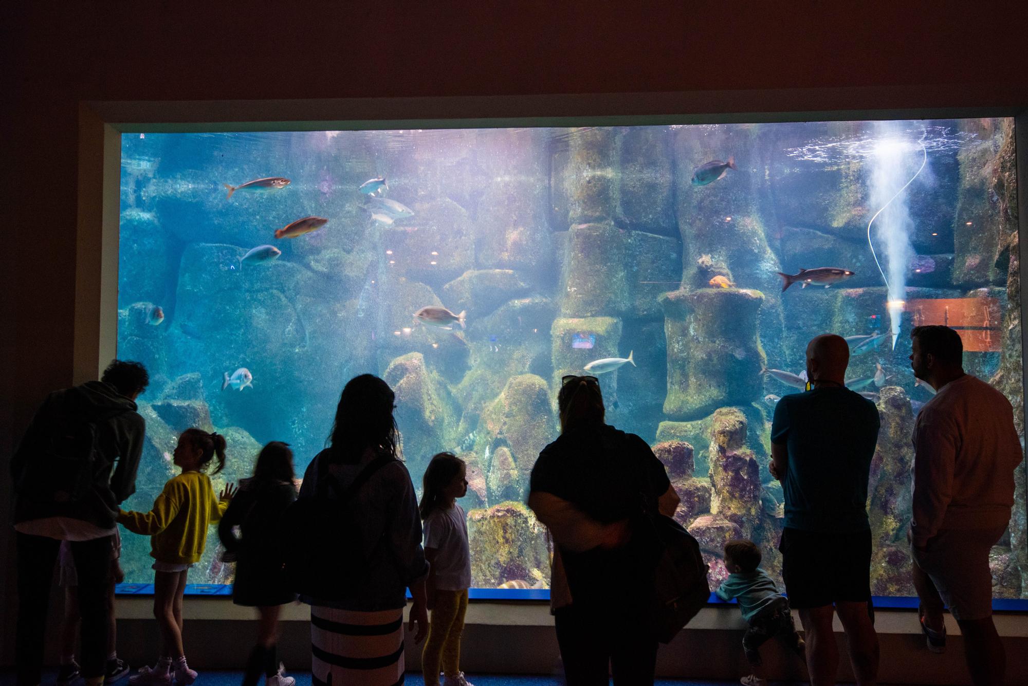 Día de los Museos en A Coruña