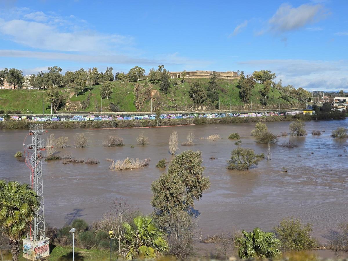 Fotogalería | Así ha quedado Badajoz tras la subida del caudal del río Guadiana.