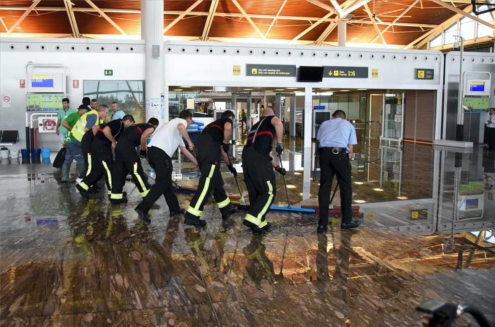 Efectos del viento huracanado en Zaragoza