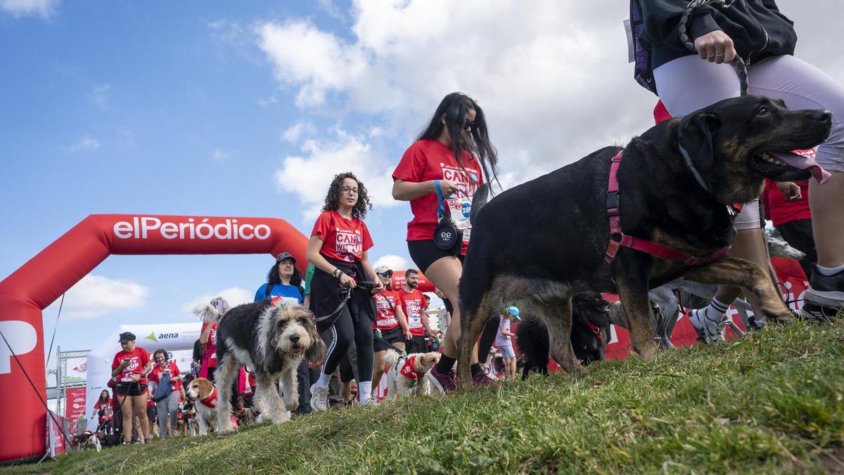 Carrera Can We Run 2026