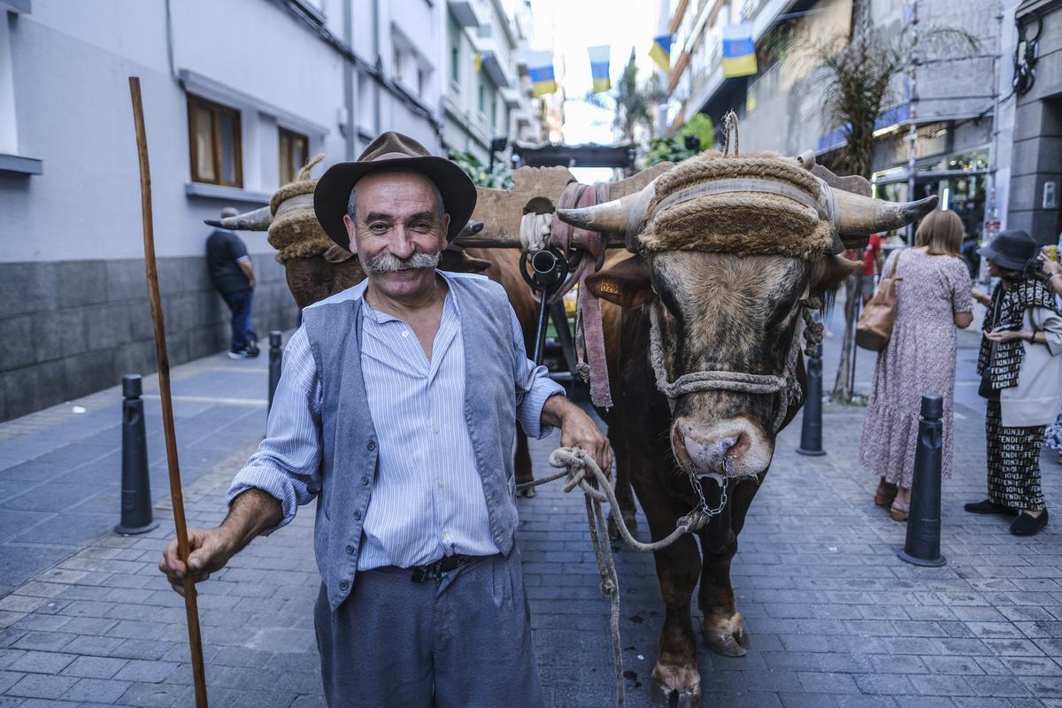 Romería ofrenda a la virgen de La Luz