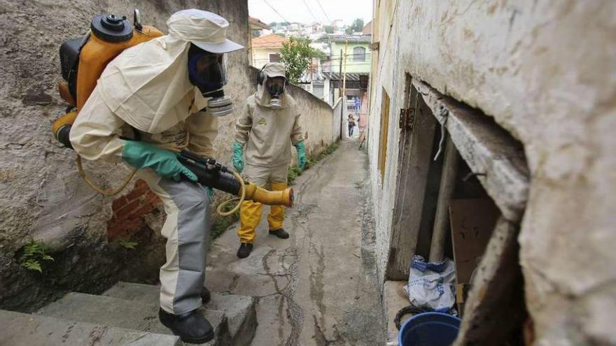 Trabajadores fumigan en una calle de Sao Paulo.