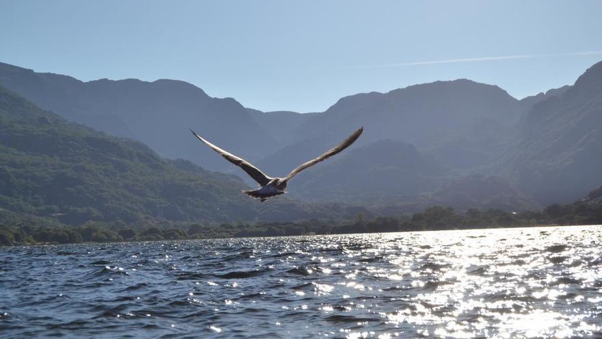 El Lago de Sanabria.