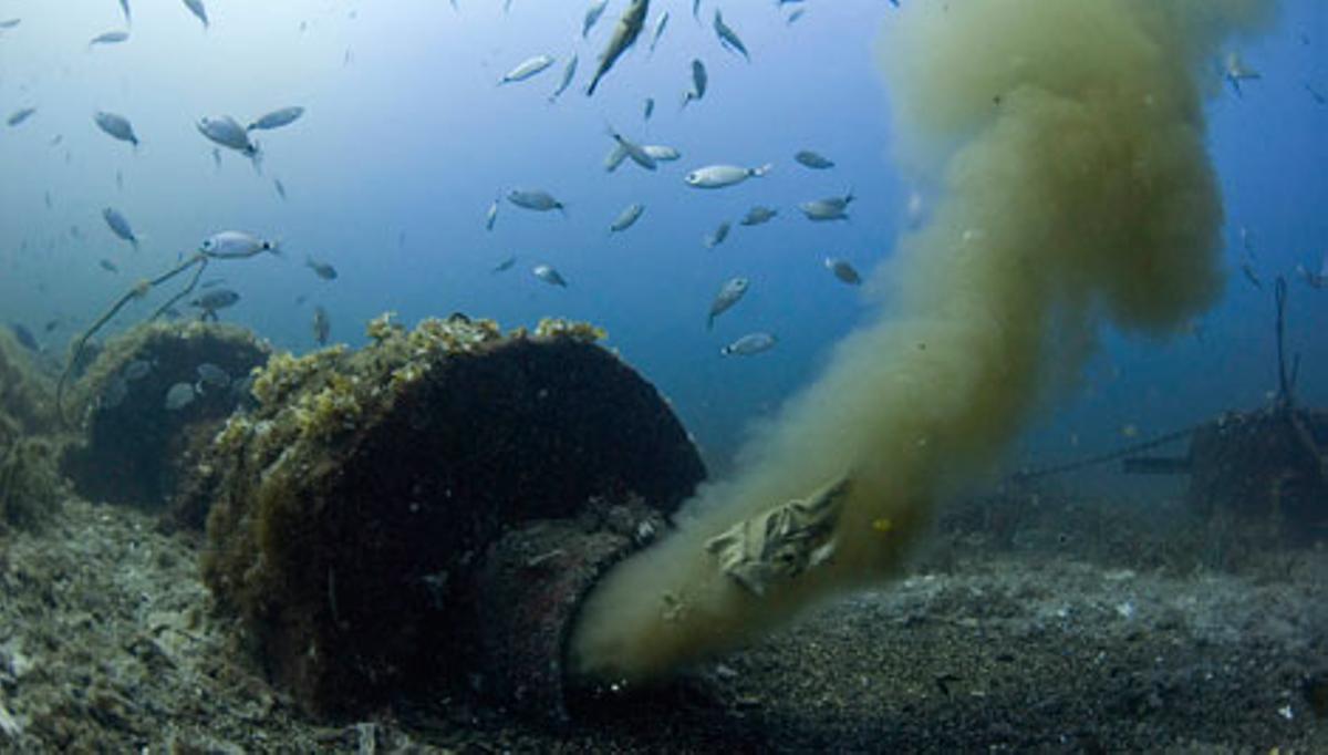 La UNESCO propone vigilancia permanente para combatir la contaminación marina