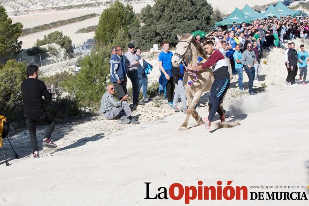 Entrenamiento Caballos del Vino