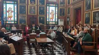 Vox se alía con la izquierda en Palma para tumbar las primeras iniciativas de Jaime Martínez como alcalde