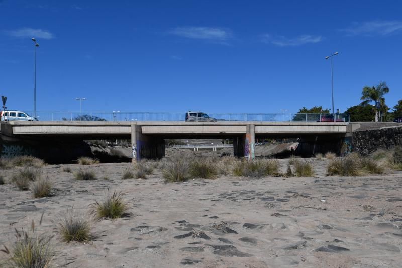 Acumulación de mosquitos en la Charca de Maspalomas