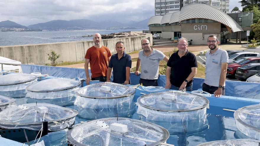La Ecimat del CIM-UVigo cumple 20 años
