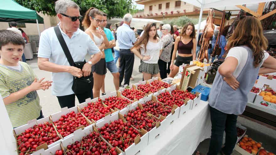 L&#039;excel·lència de les cireres de Terrades