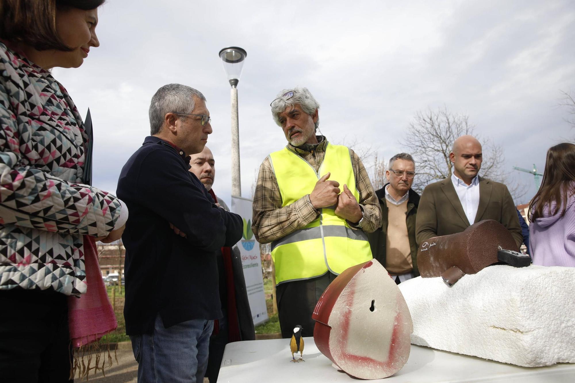 El secretario de Estado Hugo Morán participa en la plantación de minibosques en Gijón (en imágenes)