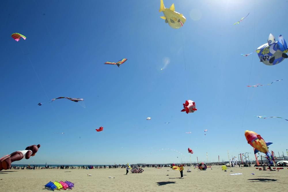 Festival del Viento 2016 en la Malva-rosa