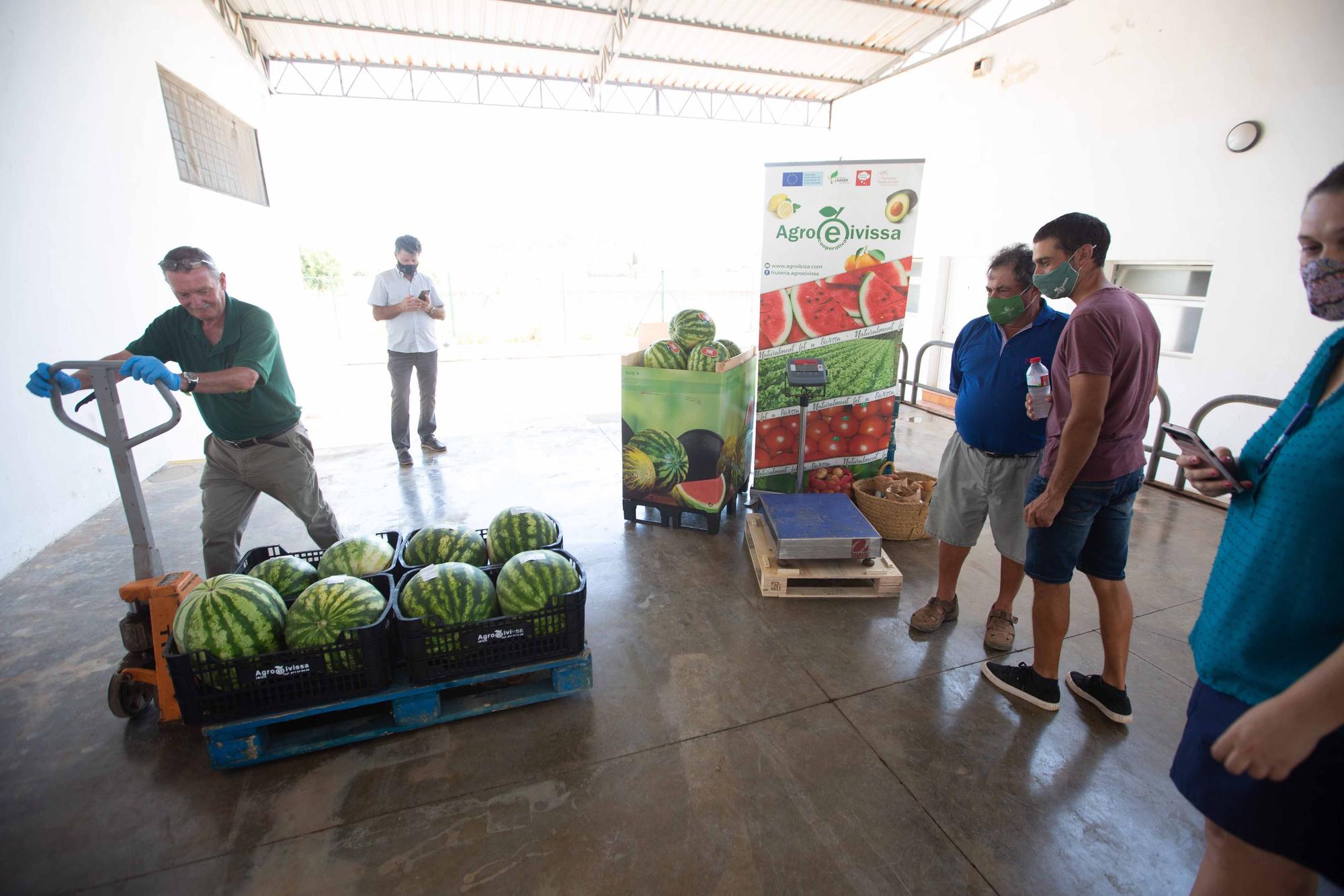 La ‘sandía más grande del mundo’ pesa 20 kilos y es de es Canar