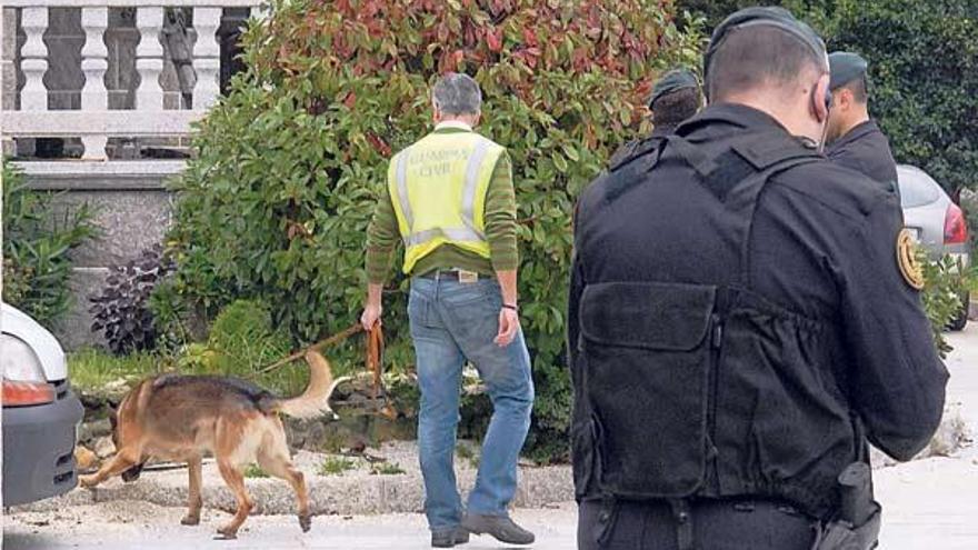 Perros especialistas de la Guardia Civil rastrean la finca del jefe de &quot;Os Madereiros&quot;. Abajo, José Lafuente y su mujer durante el registro de su mansión.