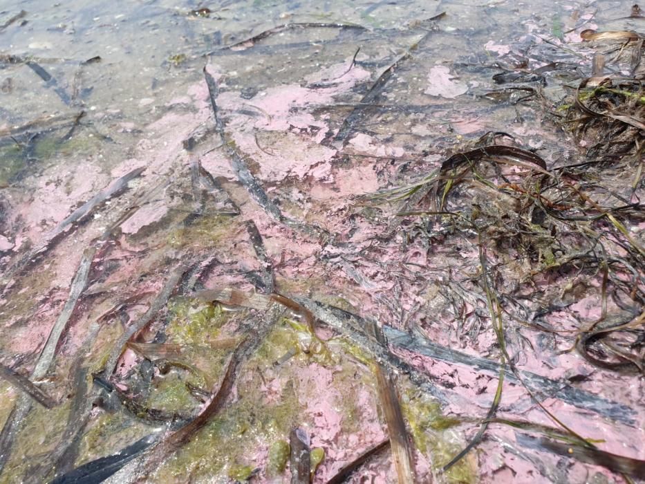 La playa de Bouzas, bañada por un manto rosado