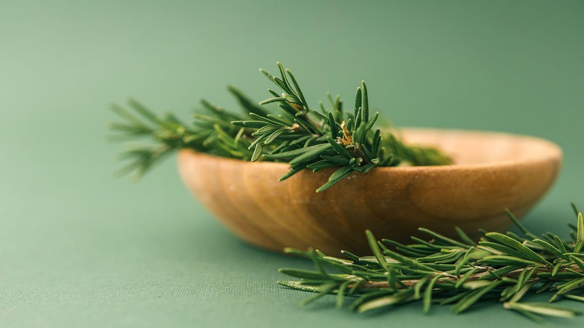 Quemar un rama de romero antes de dormir: la solución que ayuda al cerebro y copia más gente por la noche