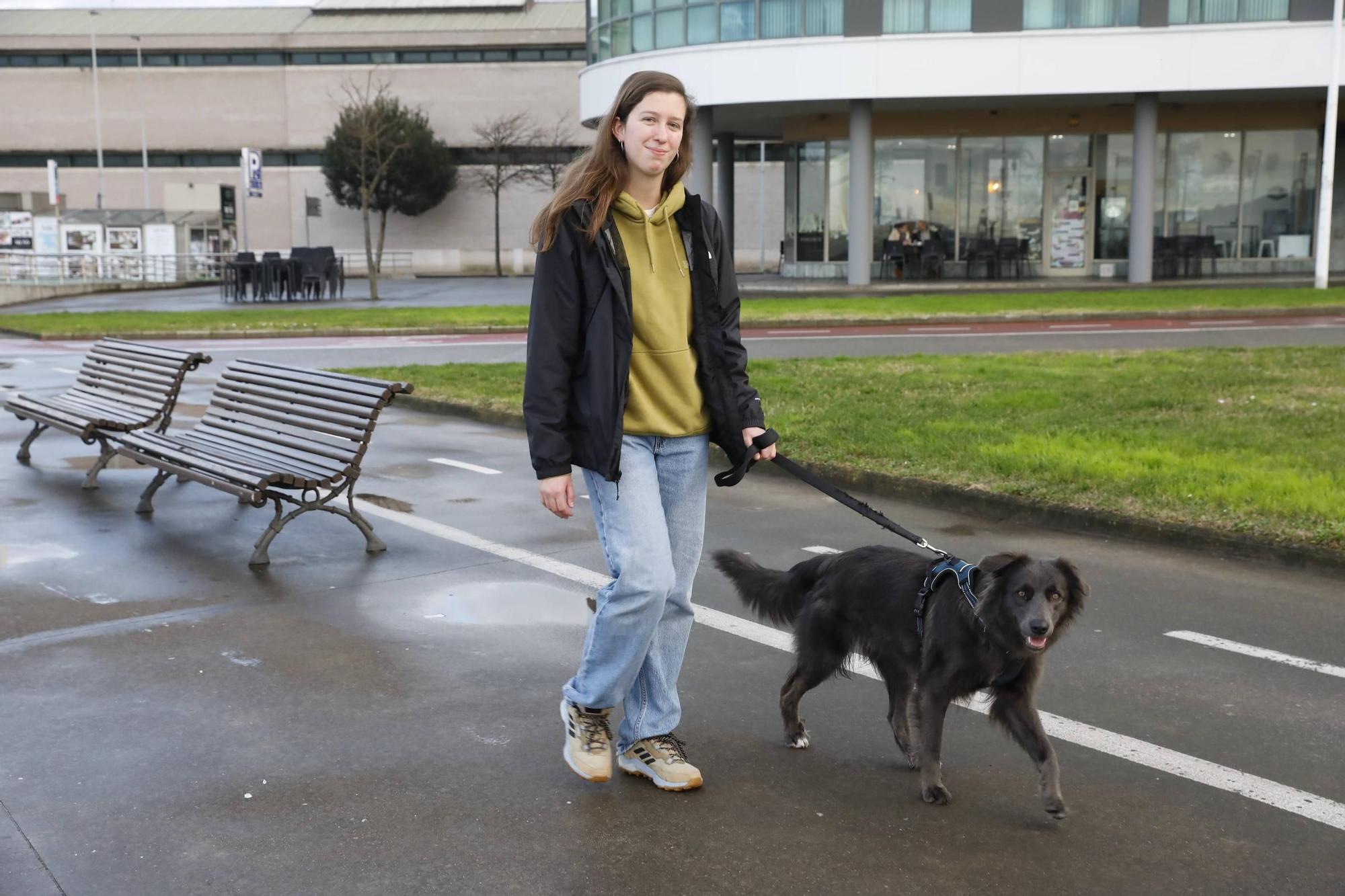 Una tendencia canina asumida en Gijón (en imágenes)