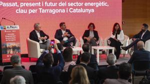 Tarragona apuja l’aposta per l’hidrogen verd malgrat el preu