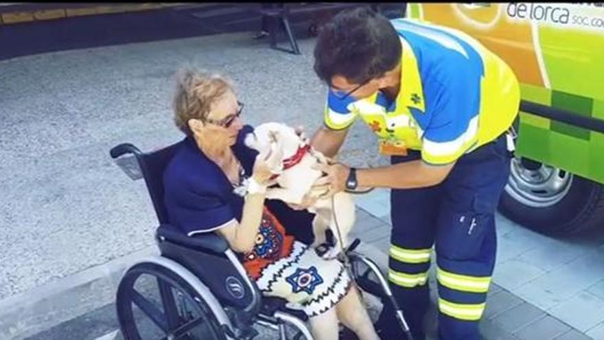 Una usuaria tuvo a su mascota en el hospital gracias a Ambulancias de Lorca.
