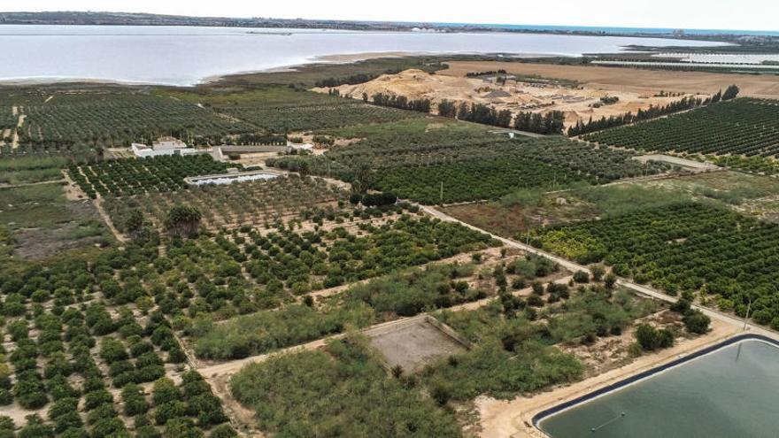 Terrenos donde se propone la planta de transferencia de basuras, a escasos 800 metros de la orilla de la laguna salinera de Torrevieja