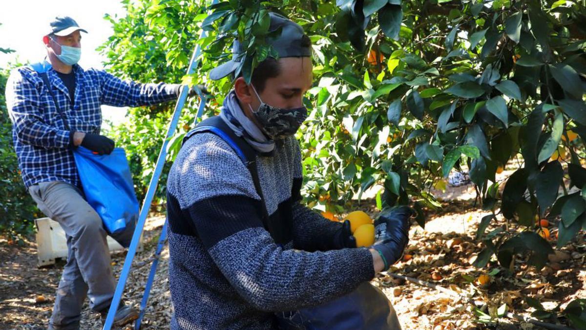 Más de 65.000 afectados por la subida son trabajadores del campo.