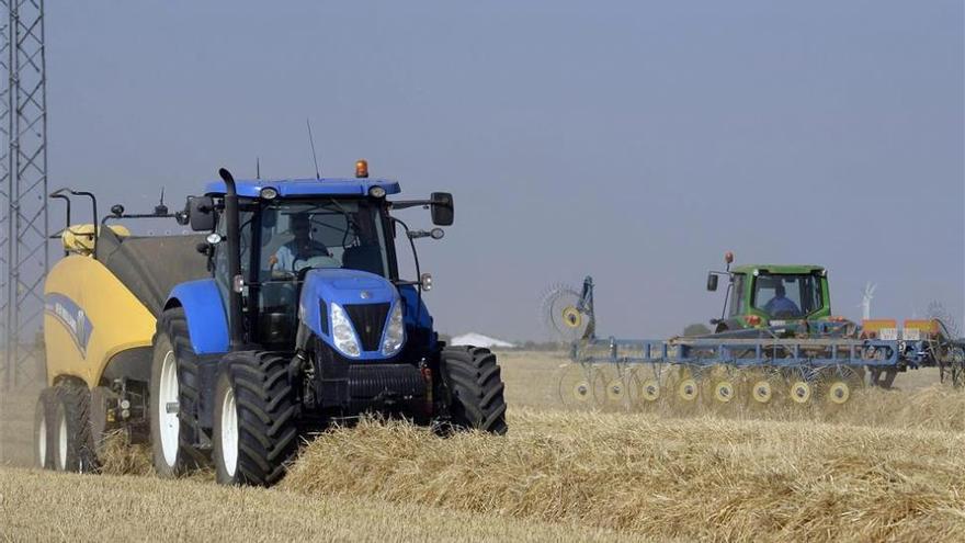 La cosecha aragonesa de cereal subirá un 24,3% en 2018, según las cooperativas