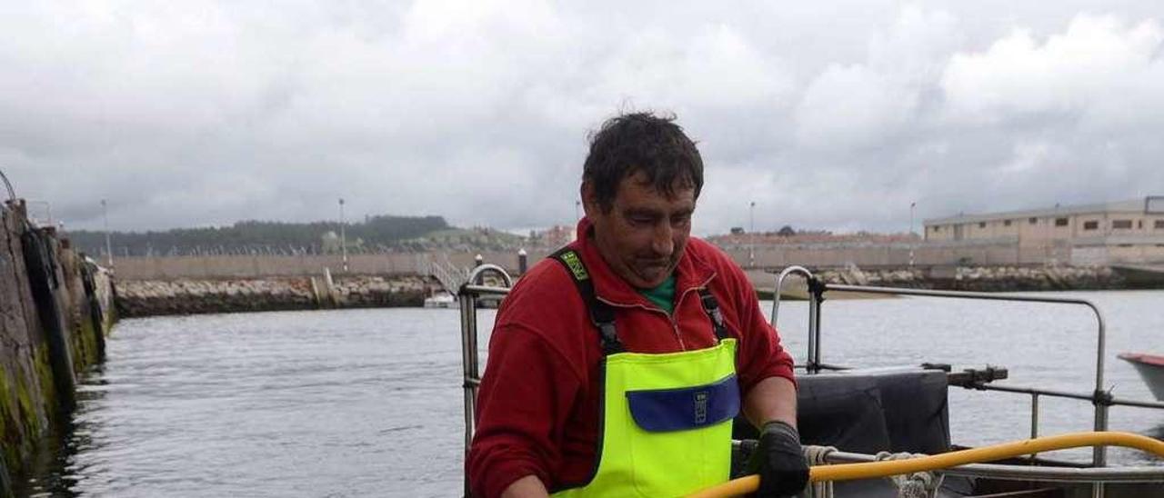 Descargas de pescado en el puerto de Cambados. // Noé Parga