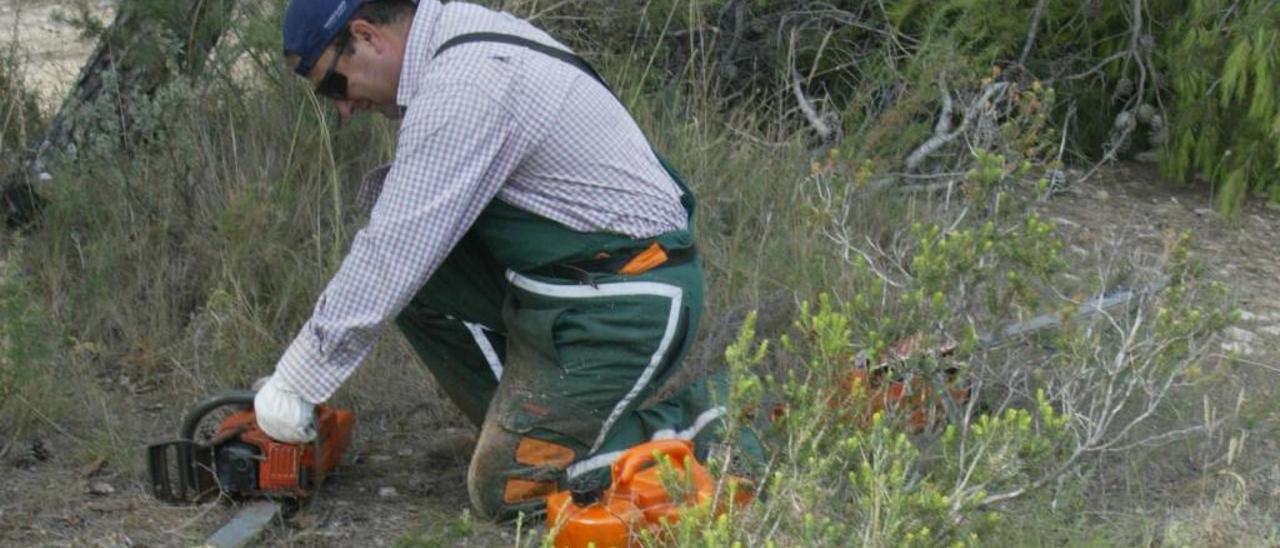 El TSJ exime a las eléctricas de indemnizar a Paterna por talar árboles en la Vallesa