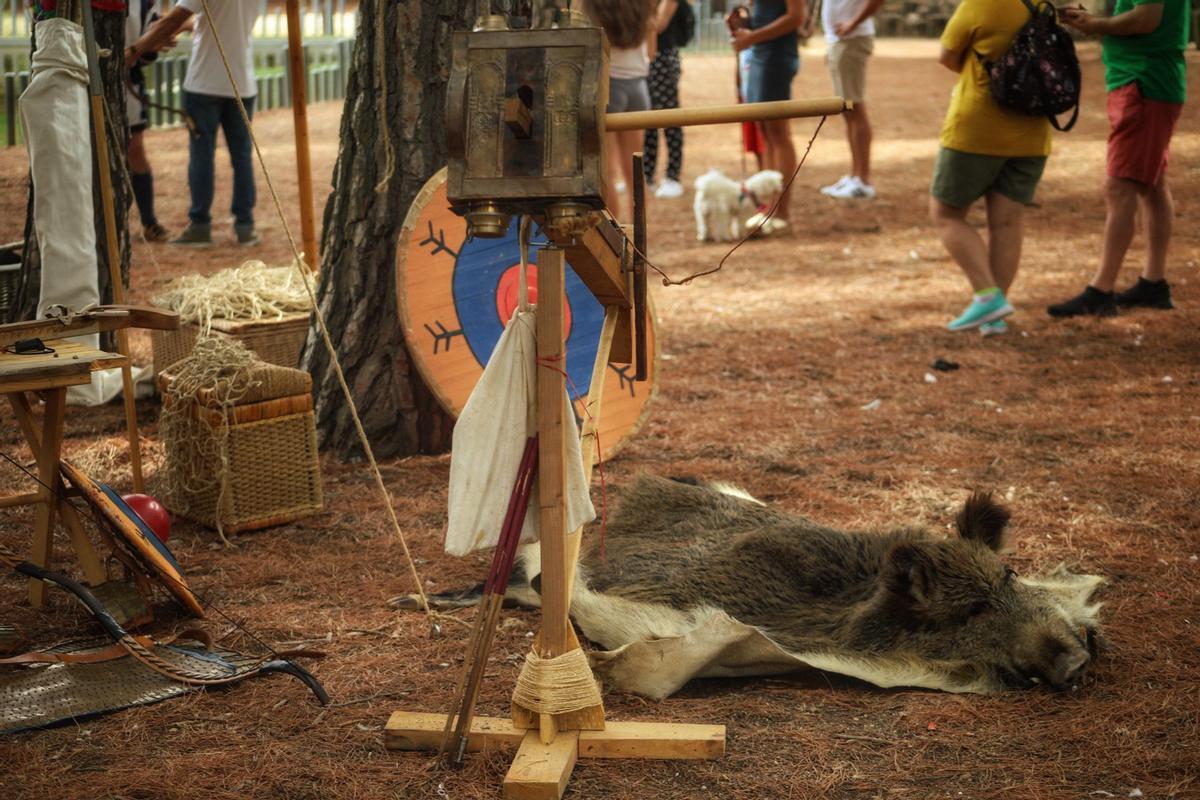 GALERÍA | Los suevos y los visigodos vuelven a Valorio GALERÍA | Los suevos y los visigodos vuelven a Valorio