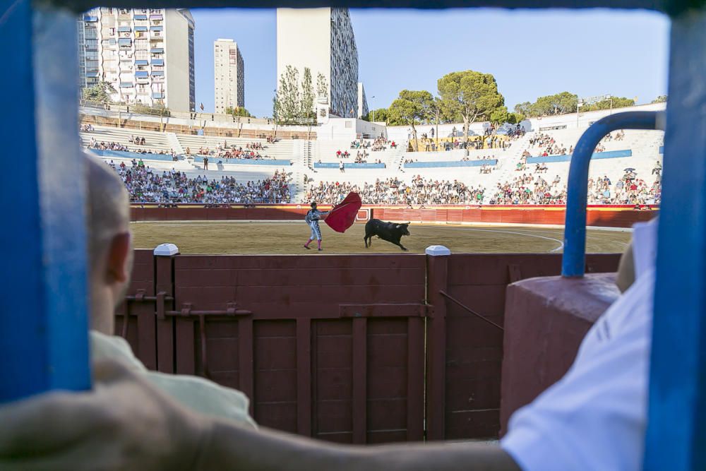 Ortega Cano triunfa en Benidorm