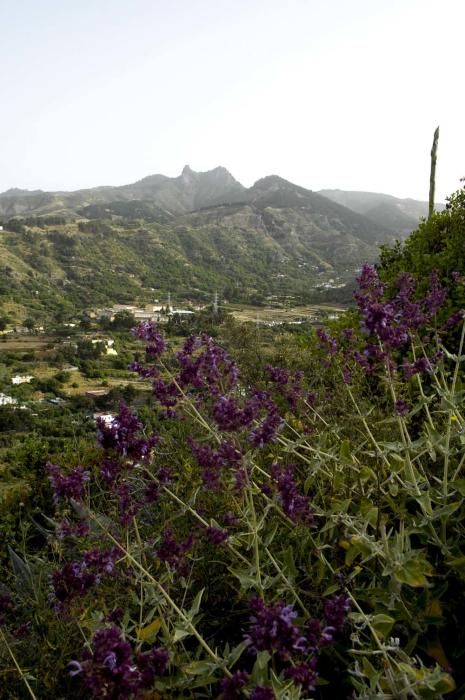 Calima en Gran Canaria