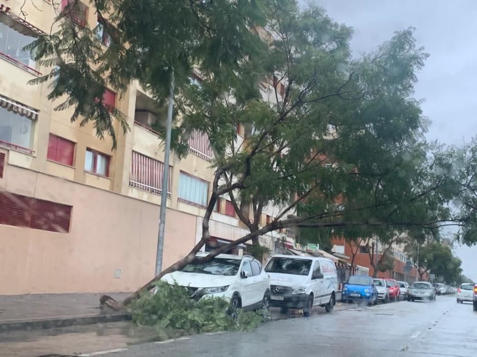 Lluvia en Málaga con la llegada de la borrasca Filomena.