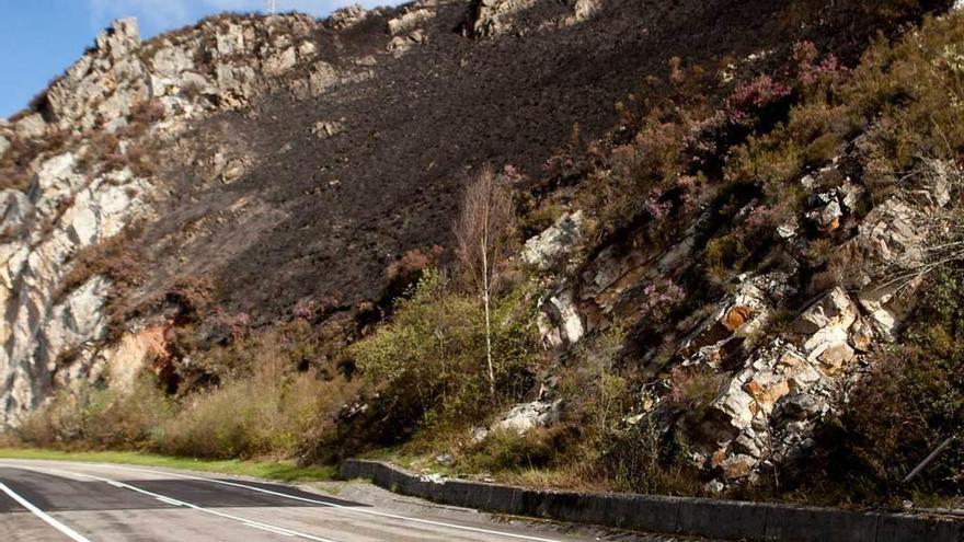 Incendio forestal en las cercanías de la carretera en Tanes