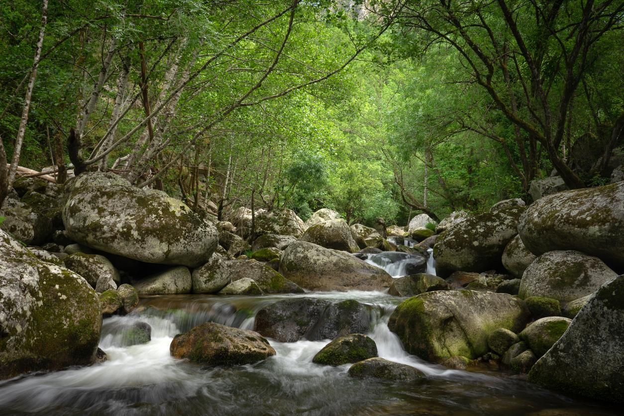 En el camino puedes ver el río Mao.