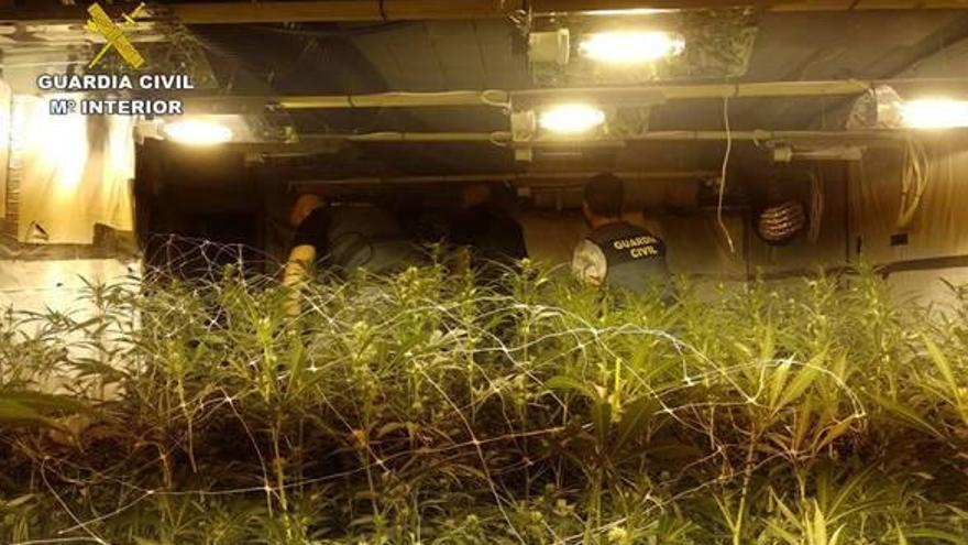 Dos agentes en la plantación de marihuana desmantelada debajo de una piscina en Calp.