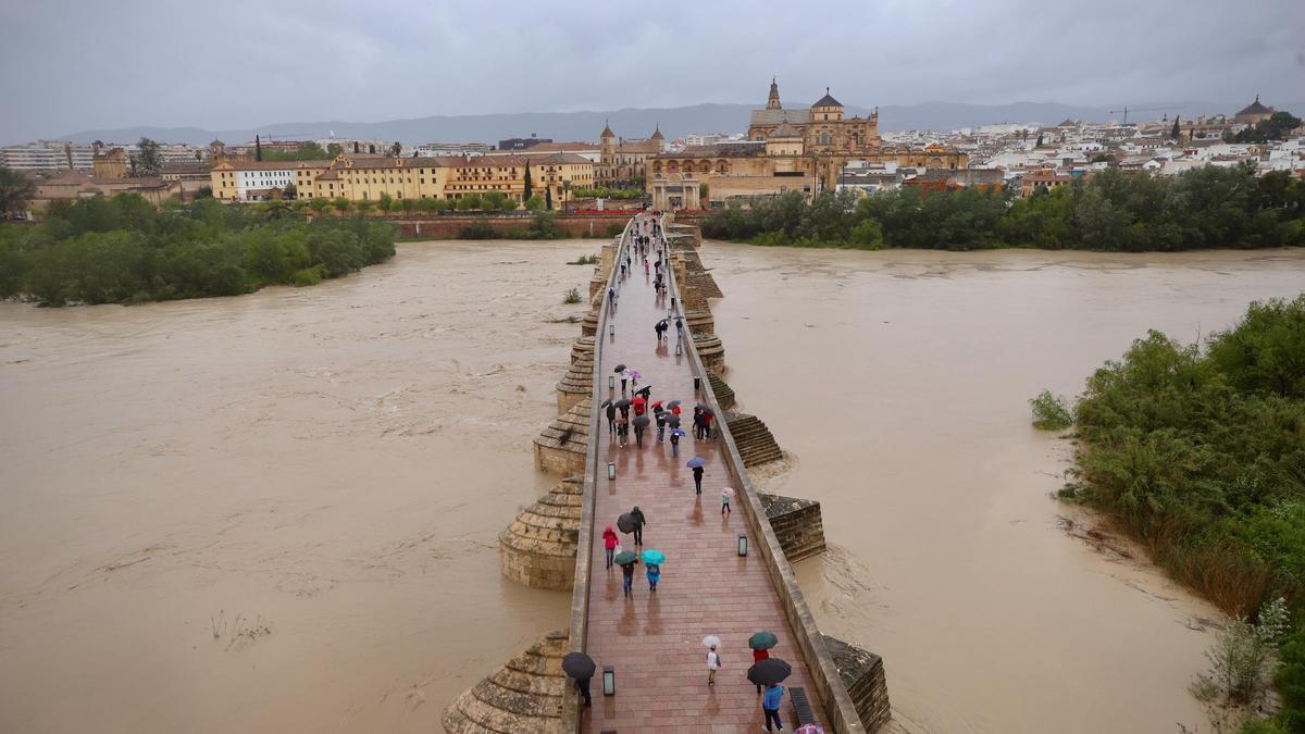 El caudal del Guadalquivir este domingo, a su paso por el Puente Romano de Córdoba.