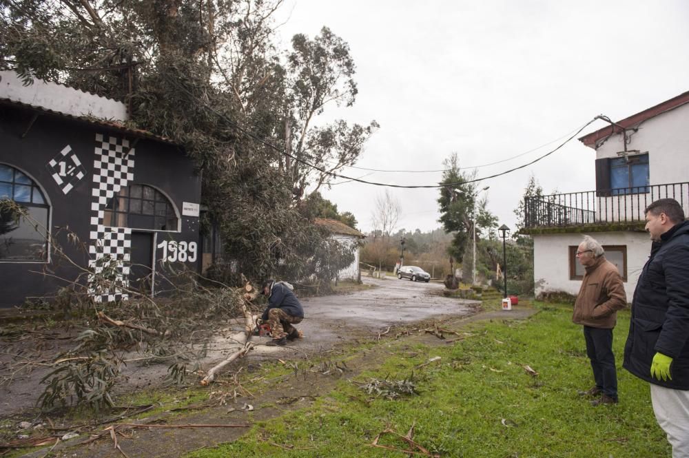 El temporal sacude Ourense