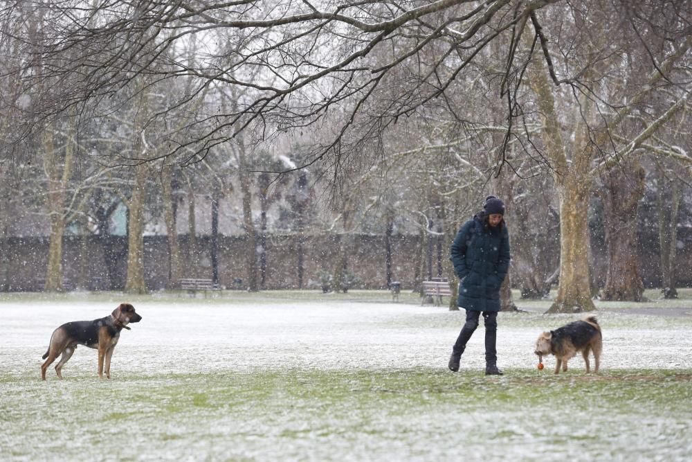 La nevada en la comarca de Avilés