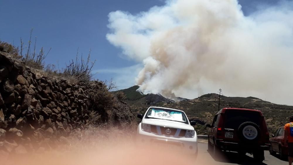 Incendio en la cumbre de Gran Canaria