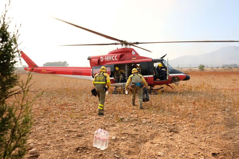 Declarado un incendio en una zona de barranco de Beneixama