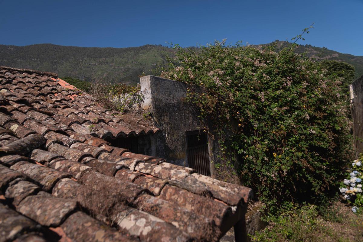 Tenerife Vaciada: Hoya de Pablos, Los Realejos
