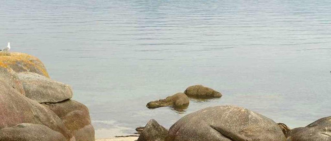 Dos arqueólogos durante los trabajos en la mámoa de Areoso. // NP