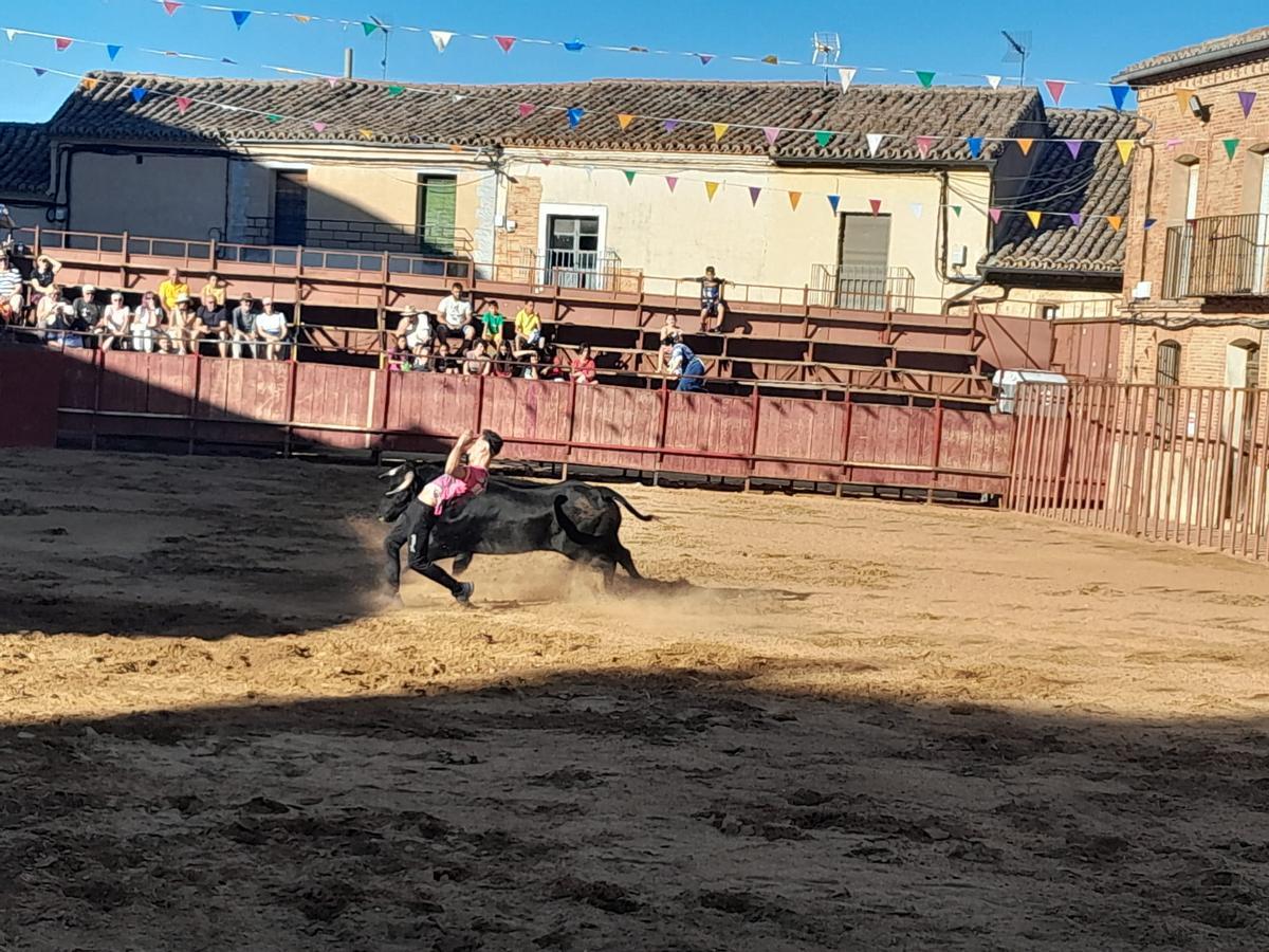 GALERÍA | Exhibición de cortes, quiebros y saltos en Morales de Toro
