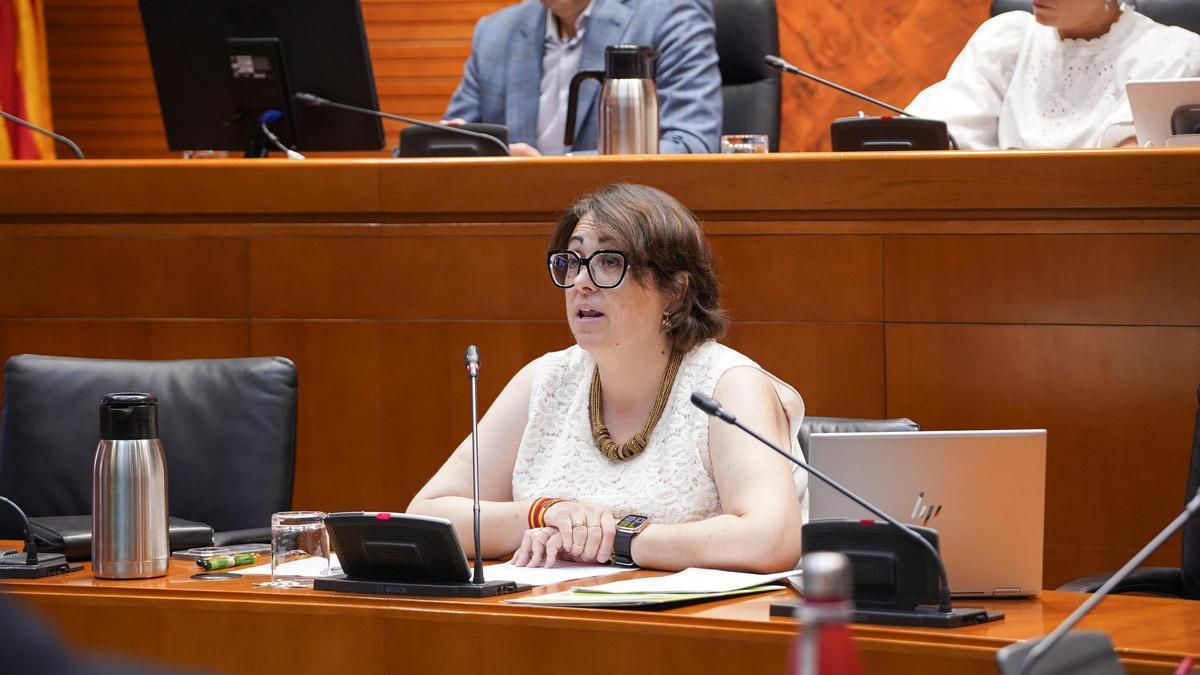 Arancha Simón, consejera de agricultura, Ganadería y Alimentación de la DGA, este lunes en las Cortes.