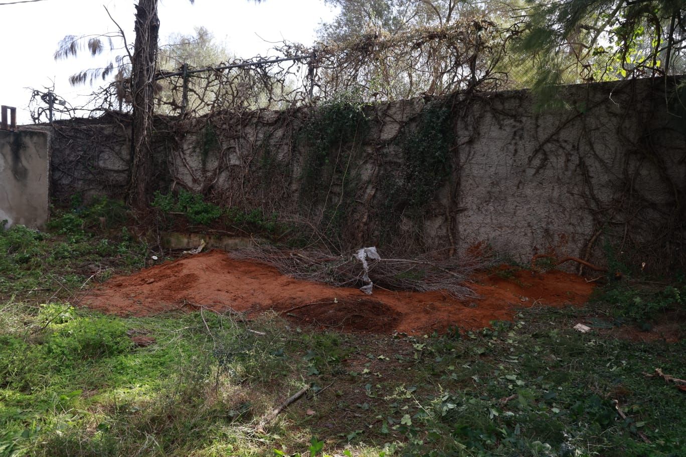 Un hombre mata a su mujer a golpes en Cádiz y la entierra en Alzira cuando huía a EE UU