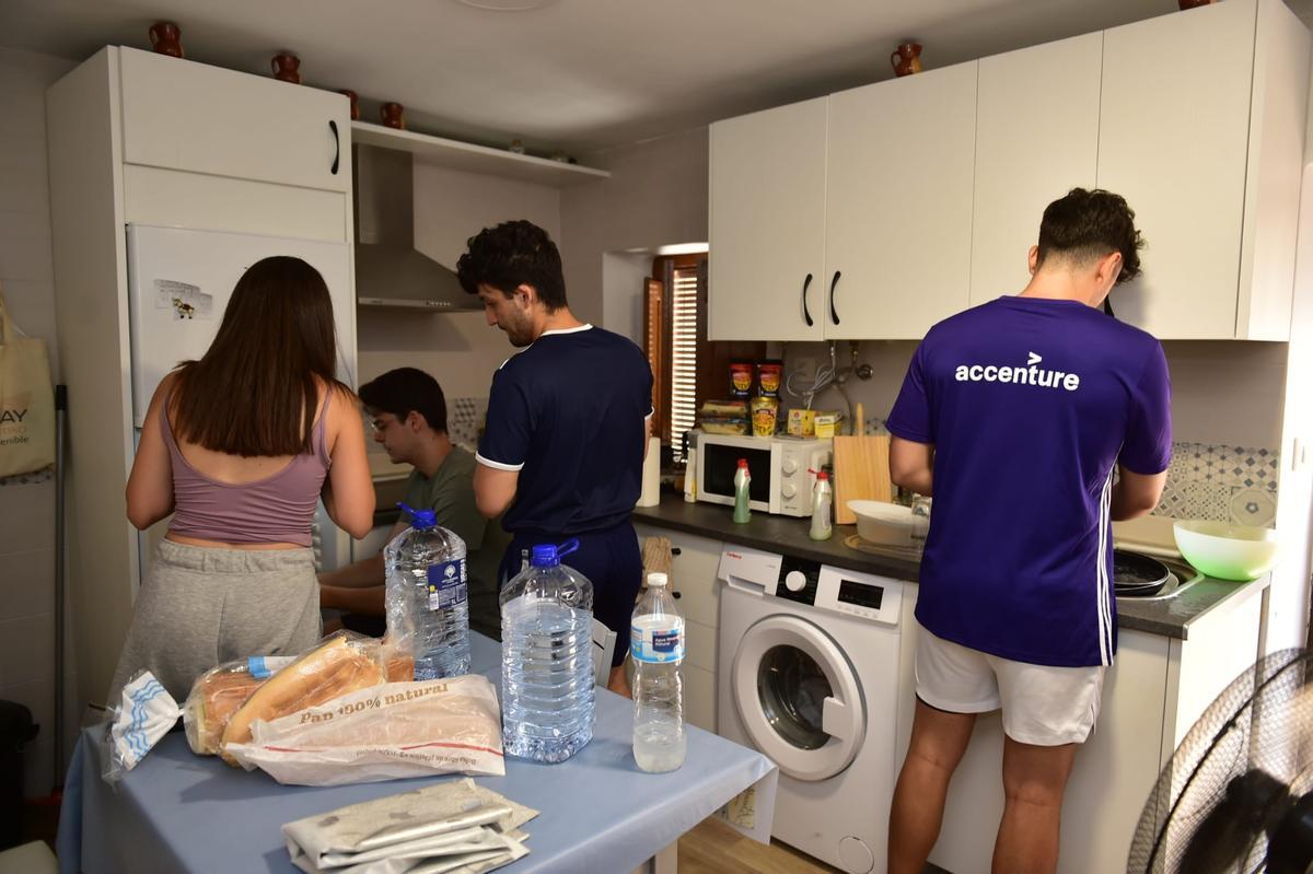 WhatsApp Image 2025-07-31 at 13.53.44.jpeg WhatsApp Image 2025-07-31 at 13.53.44.jpeg