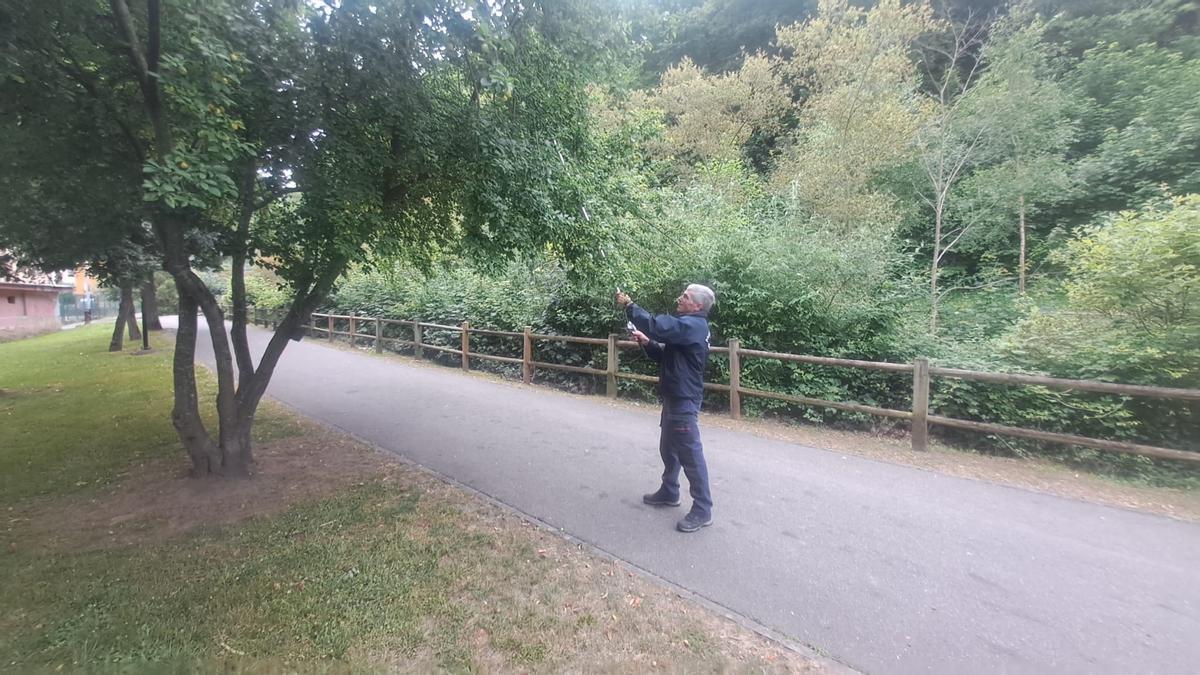 Miguel Pérez, retirando una trampa en el parque de Rioturbio.