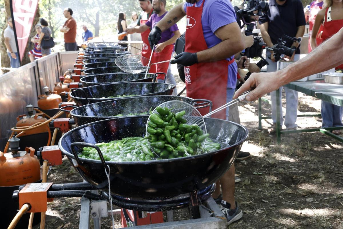 Padrón se rinde al pimiento de Herbón: 3.000 raciones para una fiesta multitudinaria Padrón se rinde al pimiento de Herbón: 3.000 raciones para una fiesta multitudinaria