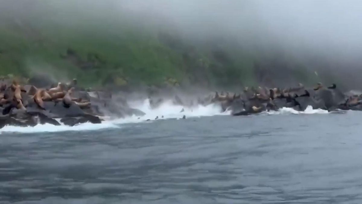 Un terratrèmol de magnitud 8,8 a l’est de Rússia desencadena alertes de tsunami a diversos països del Pacífic