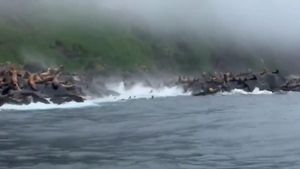 Un terratrèmol de magnitud 8,8 a l’est de Rússia desencadena alertes de tsunami a diversos països del Pacífic