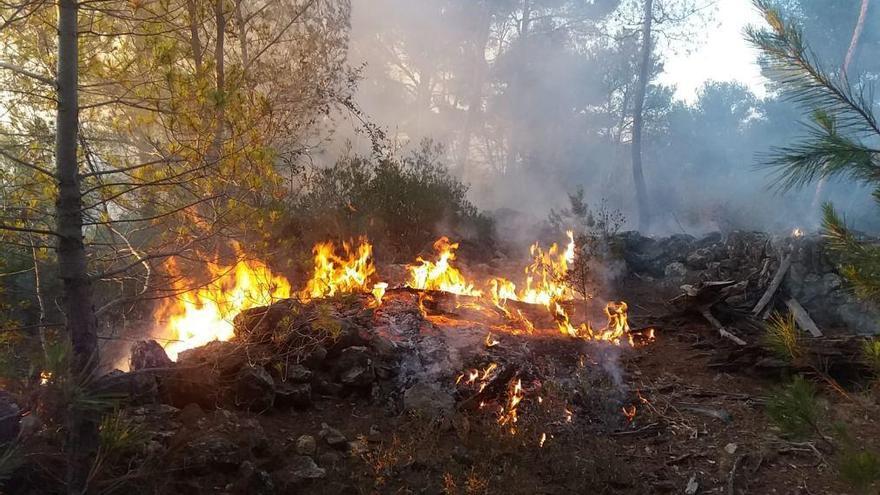 Waldbrand bei Esporles ausgebrochen